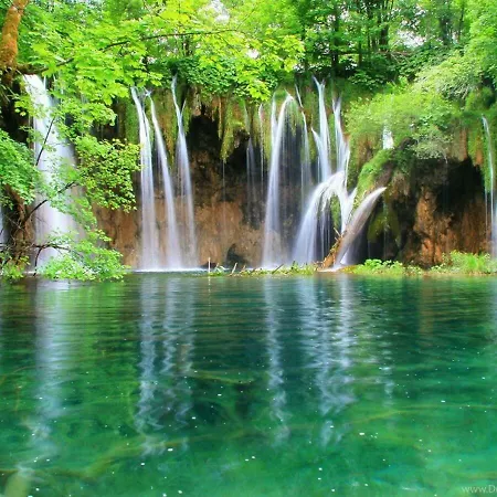 Dream *